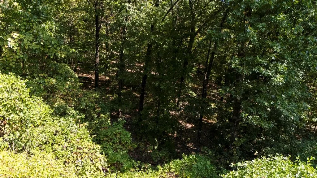 Photo 11 — 54201 Pin Oak Circle, Afton, OK 74331