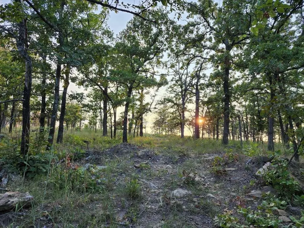 Photo 44 — 123352 Highway 52, Hanna, OK 74845