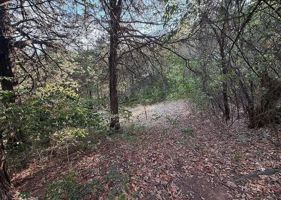 Photo 22 — 348100 E Country Drive, Cushing, OK 74023