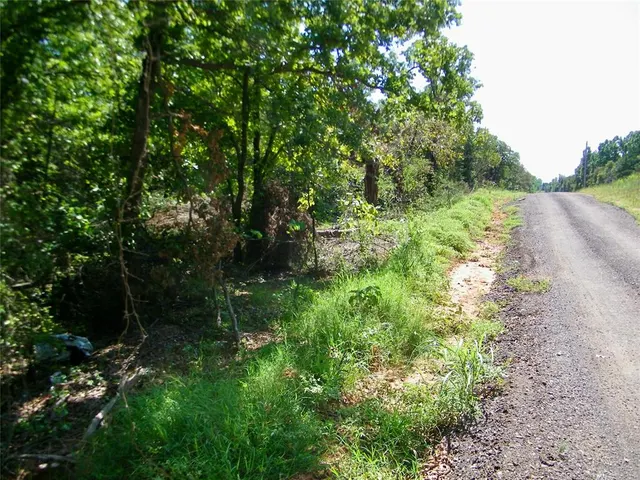 Photo 2 — Howard Avenue, Macomb, OK 73051
