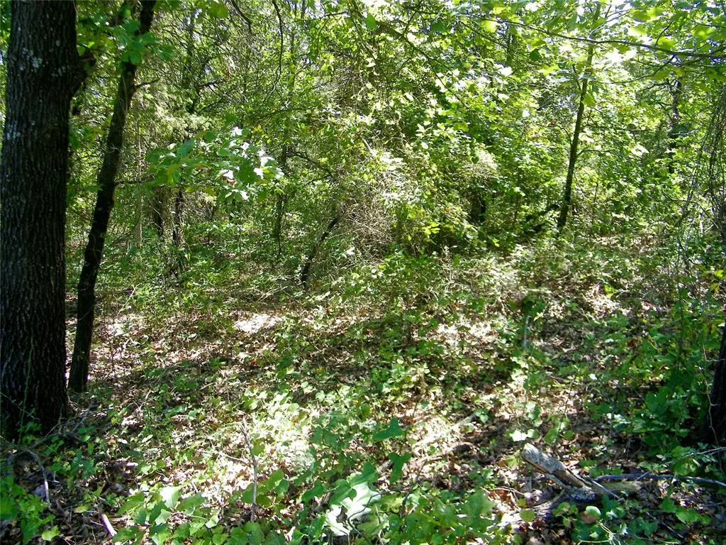 Photo 3 — Howard Avenue, Macomb, OK 73051