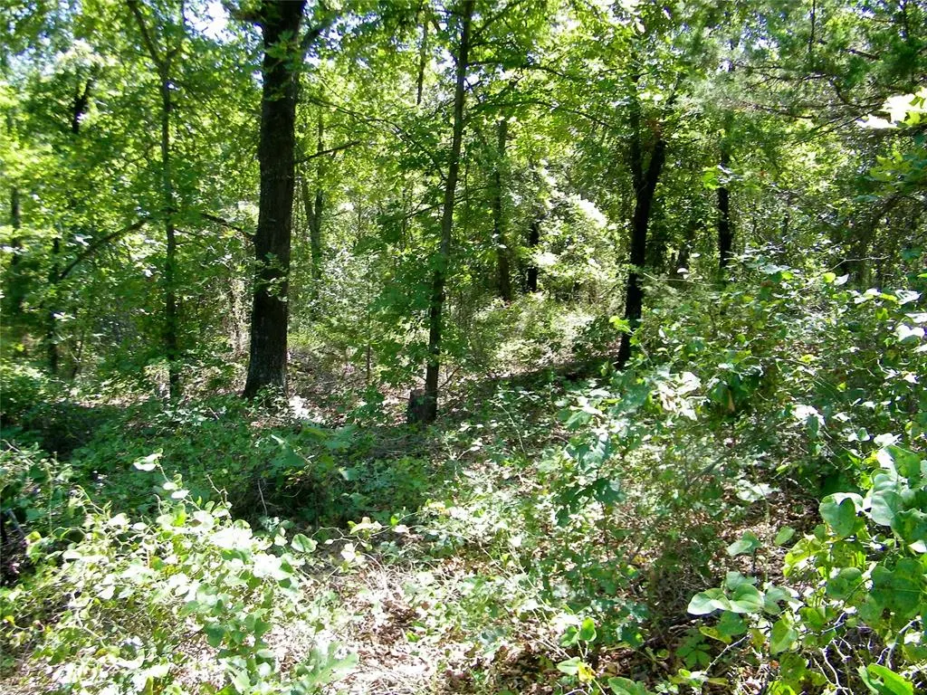 Photo 4 — Howard Avenue, Macomb, OK 73051