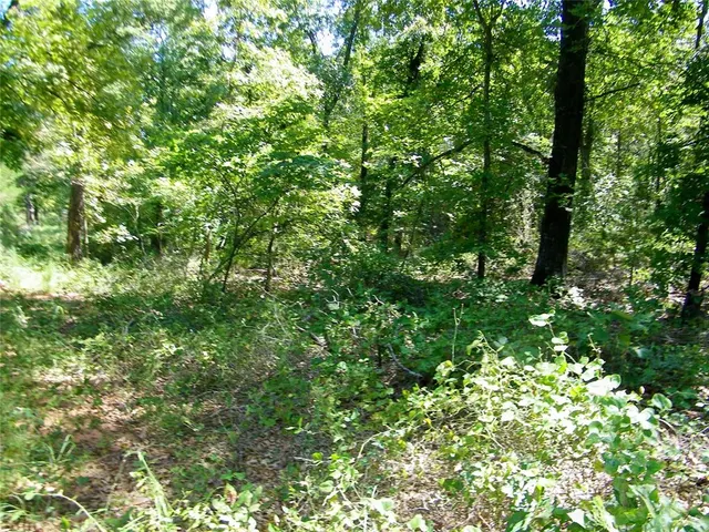 Photo 5 — Howard Avenue, Macomb, OK 73051
