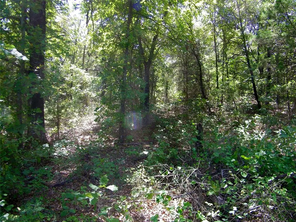 Photo 6 — Howard Avenue, Macomb, OK 73051