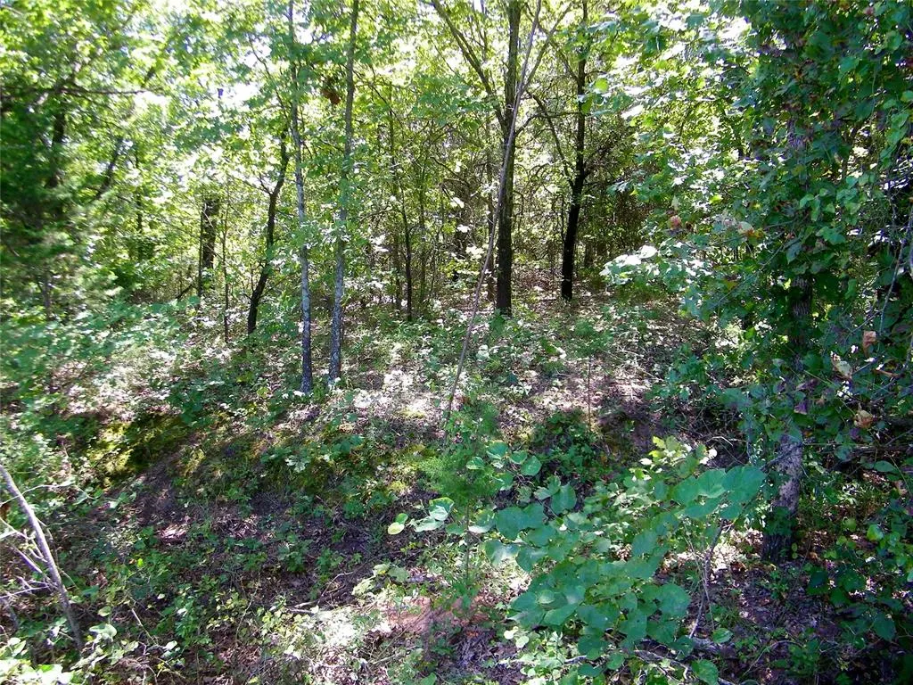 Photo 7 — Howard Avenue, Macomb, OK 73051