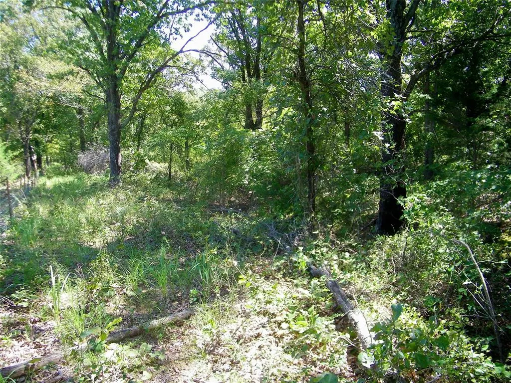 Photo 8 — Howard Avenue, Macomb, OK 73051