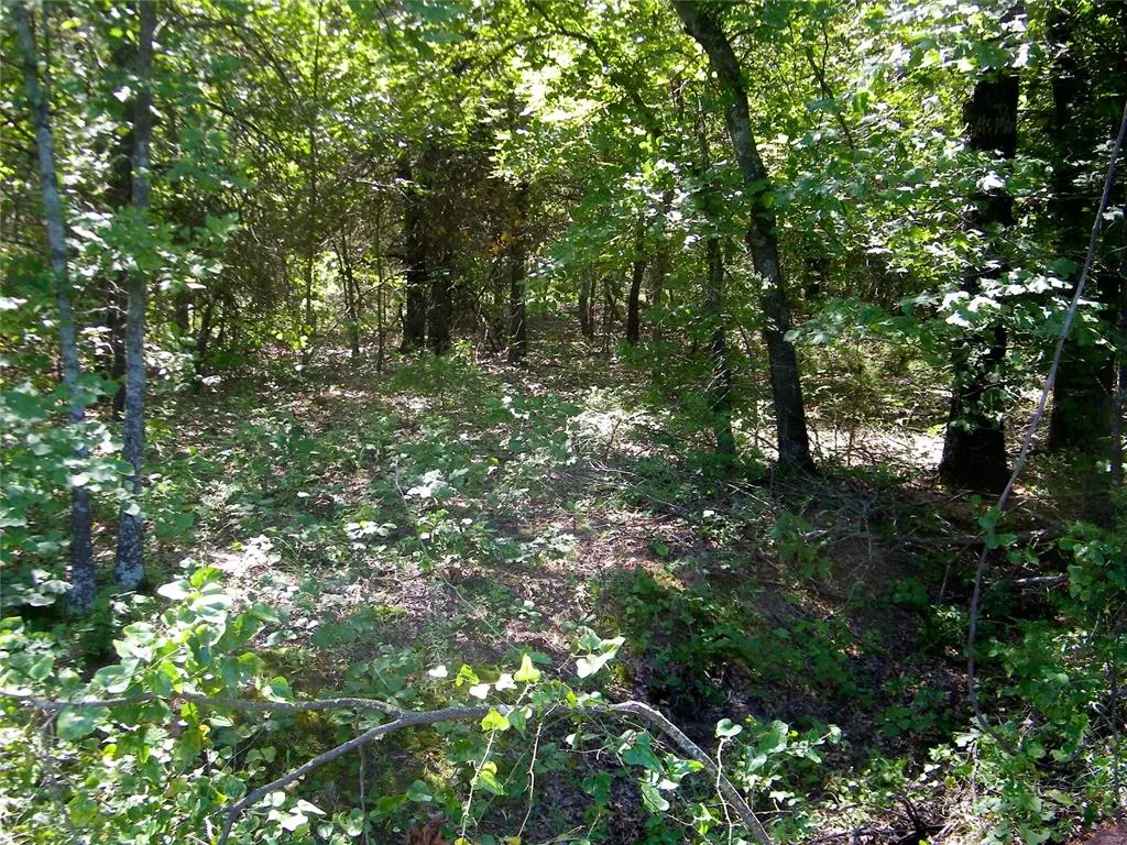 Photo 9 — Howard Avenue, Macomb, OK 73051