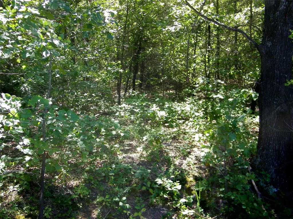 Photo 10 — Howard Avenue, Macomb, OK 73051