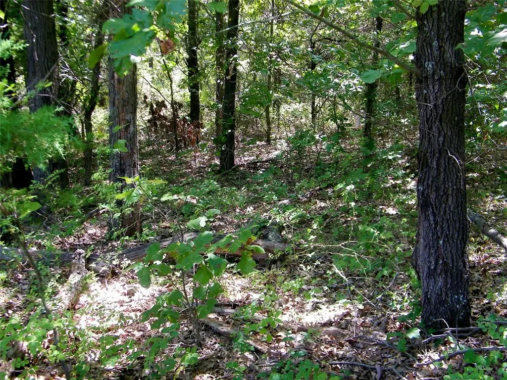 Photo 11 — Howard Avenue, Macomb, OK 73051