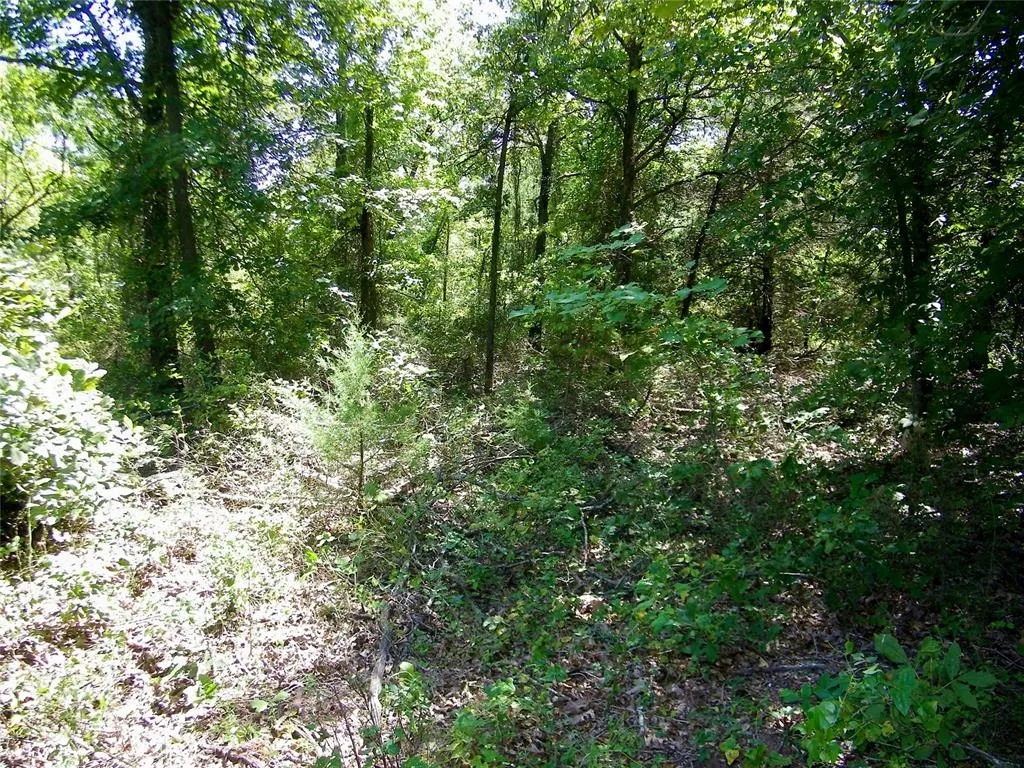 Photo 13 — Howard Avenue, Macomb, OK 73051