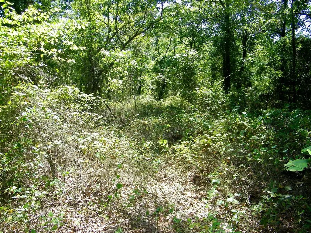 Photo 14 — Howard Avenue, Macomb, OK 73051