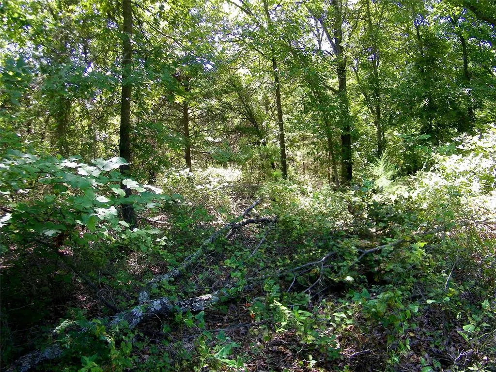Photo 17 — Howard Avenue, Macomb, OK 73051