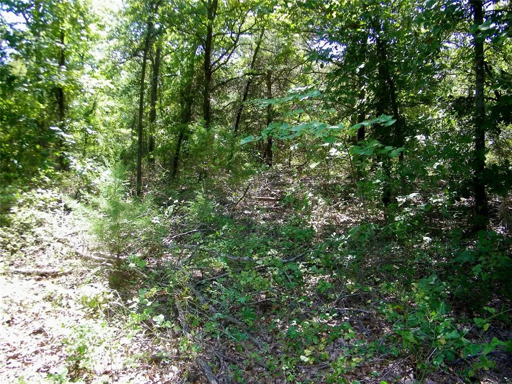 Photo 18 — Howard Avenue, Macomb, OK 73051