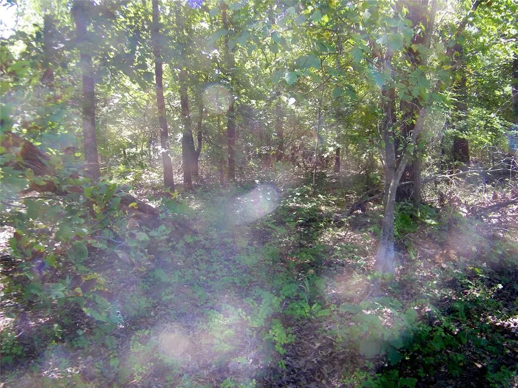 Photo 19 — Howard Avenue, Macomb, OK 73051