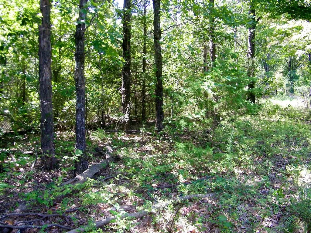 Photo 20 — Howard Avenue, Macomb, OK 73051