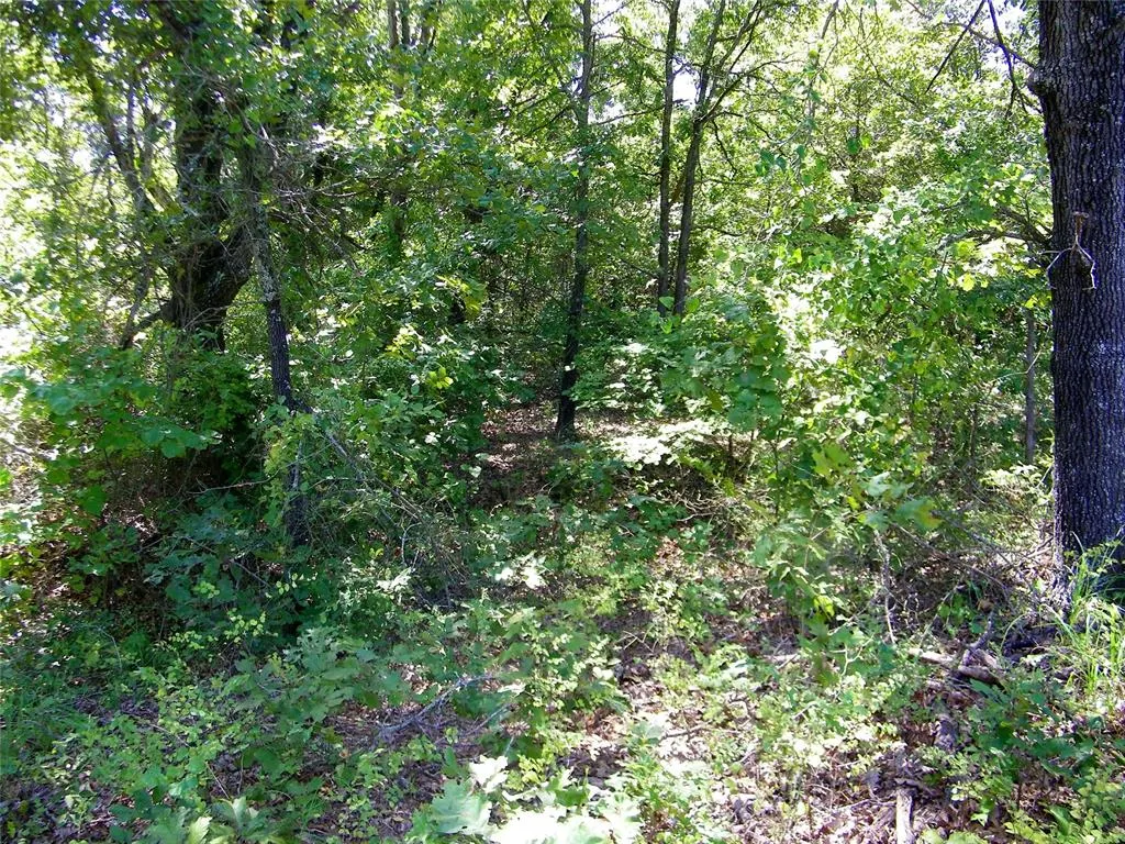 Photo 21 — Howard Avenue, Macomb, OK 73051