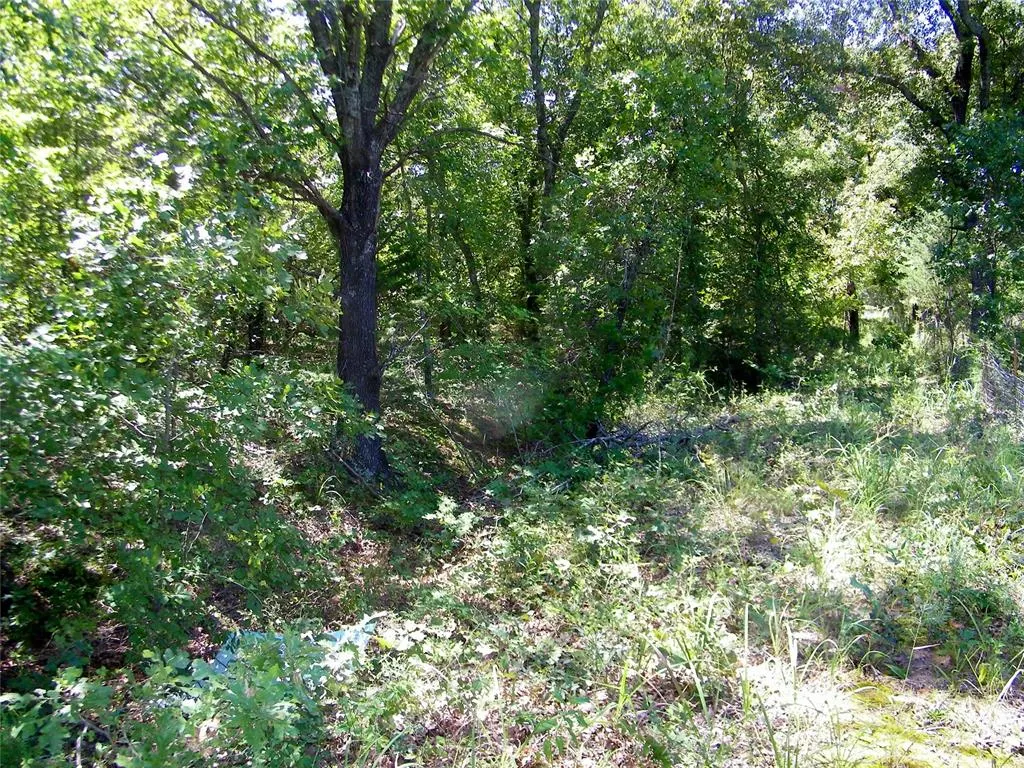 Photo 22 — Howard Avenue, Macomb, OK 73051