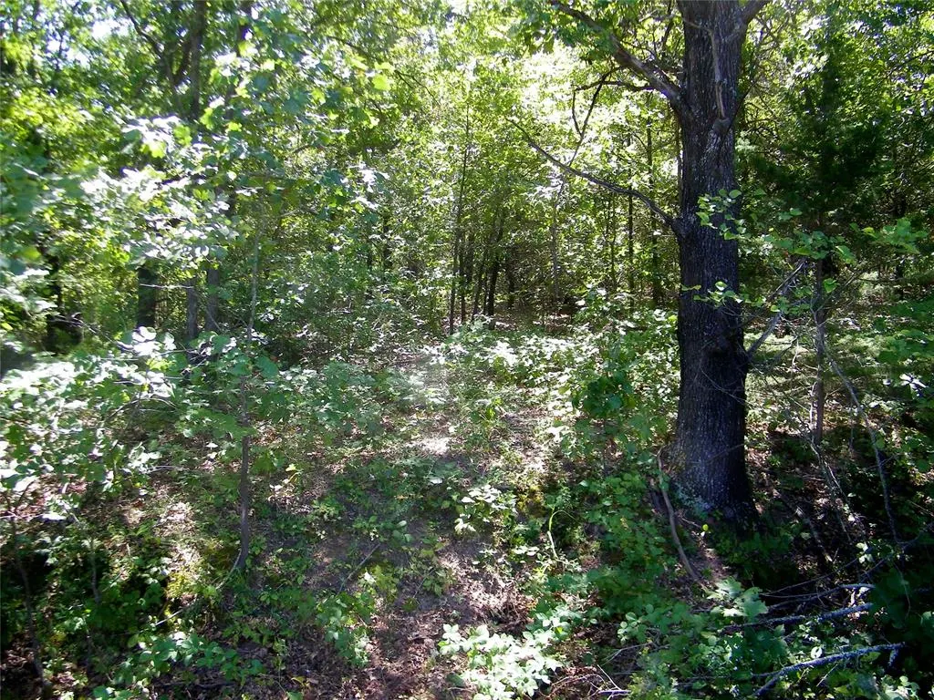 Photo 23 — Howard Avenue, Macomb, OK 73051