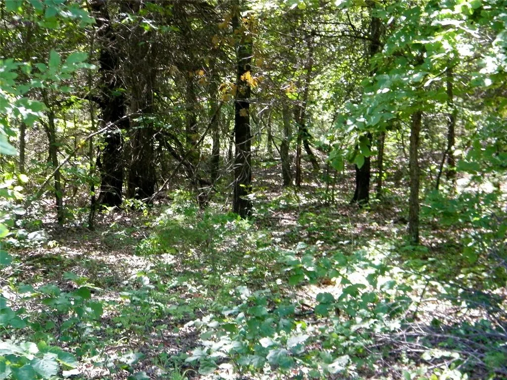 Photo 24 — Howard Avenue, Macomb, OK 73051