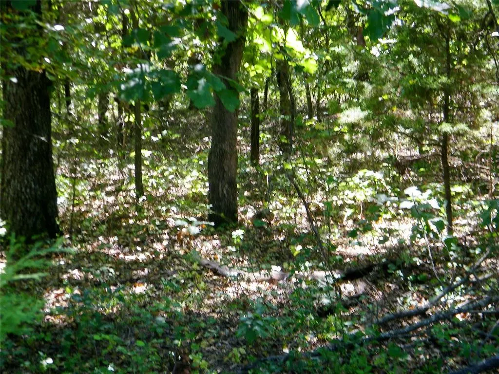 Photo 25 — Howard Avenue, Macomb, OK 73051