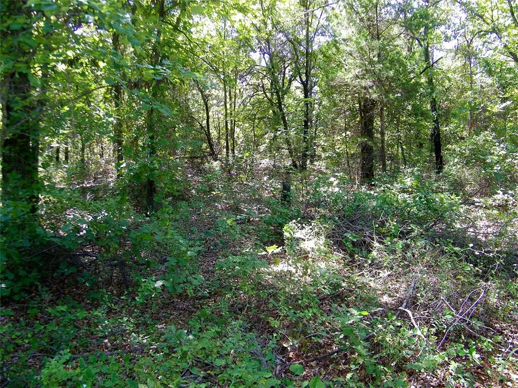 Photo 26 — Howard Avenue, Macomb, OK 73051