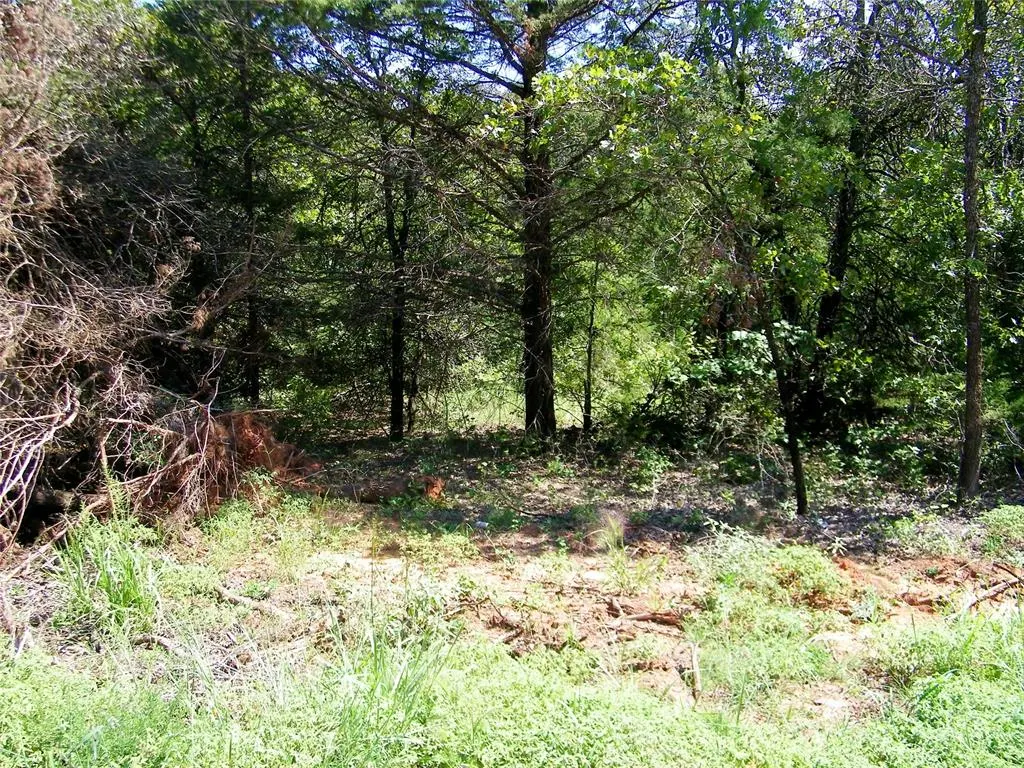 Photo 28 — Howard Avenue, Macomb, OK 73051