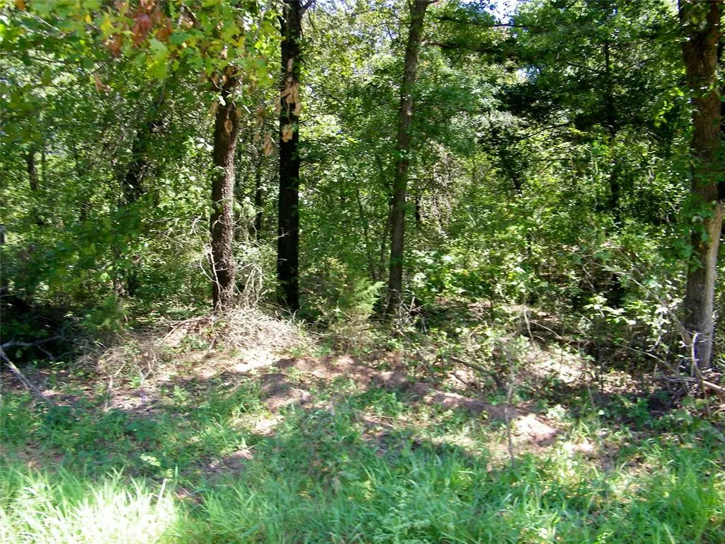 Photo 30 — Howard Avenue, Macomb, OK 73051