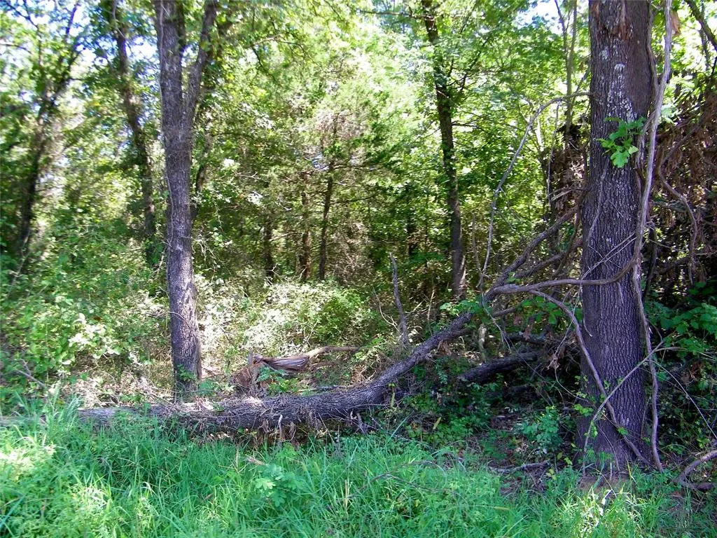 Photo 31 — Howard Avenue, Macomb, OK 73051