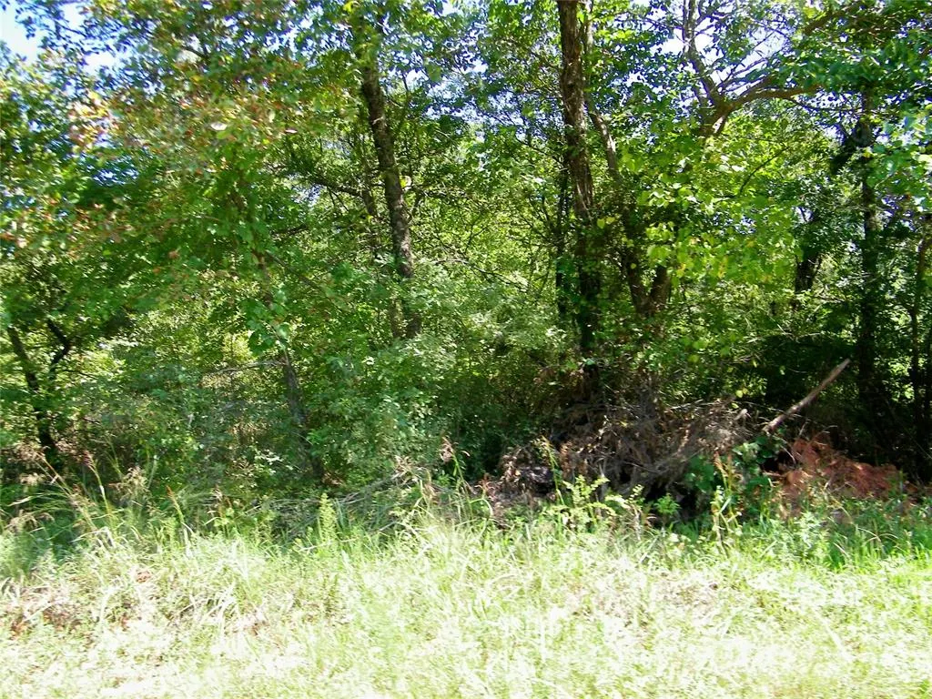 Photo 32 — Howard Avenue, Macomb, OK 73051