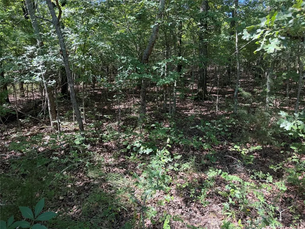 Photo 14 — 000 Newman Road, Wewoka, OK 74884