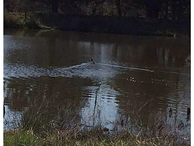 Photo 31 — 725 S Okmulgee Street, Wetumka, OK 74883