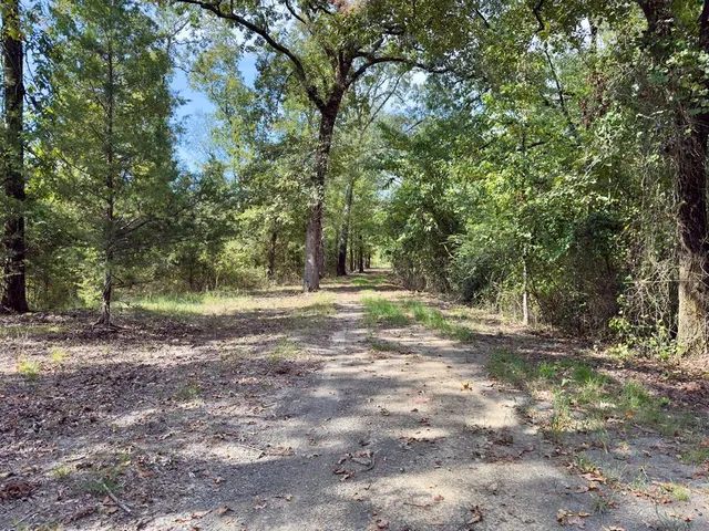 Photo 6 — 484 Old State Highway 4, Smithville, OK 74957
