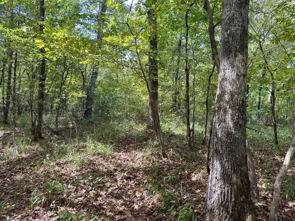 Photo 17 — 484 Old State Highway 4, Smithville, OK 74957