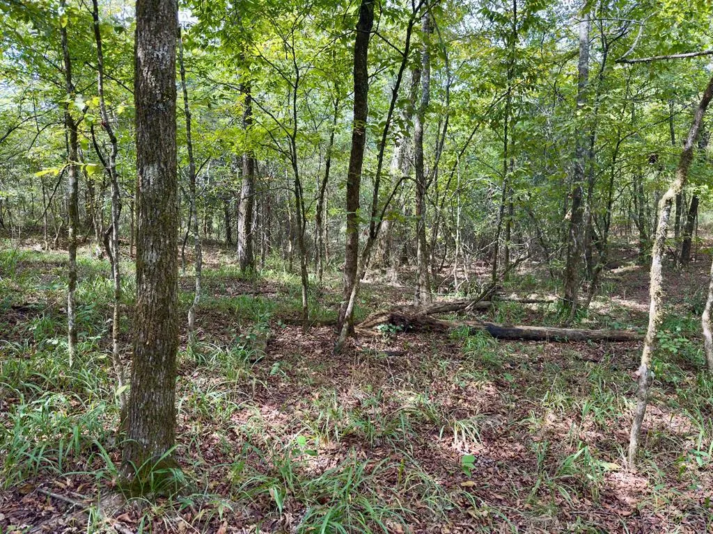 Photo 18 — 484 Old State Highway 4, Smithville, OK 74957