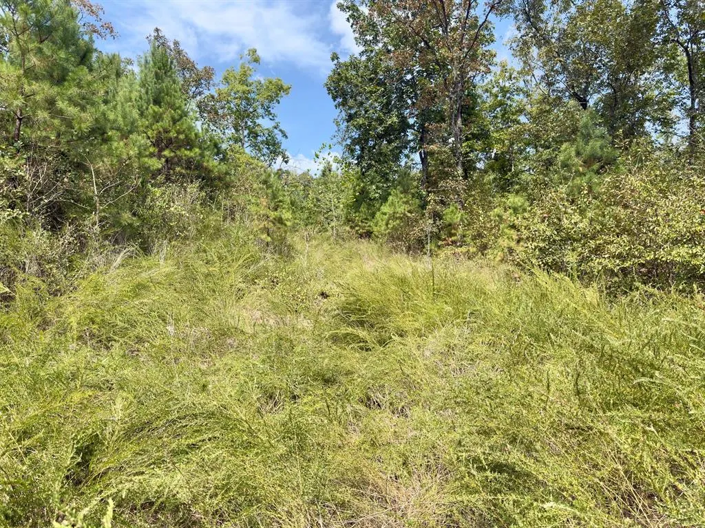 Photo 19 — 484 Old State Highway 4, Smithville, OK 74957