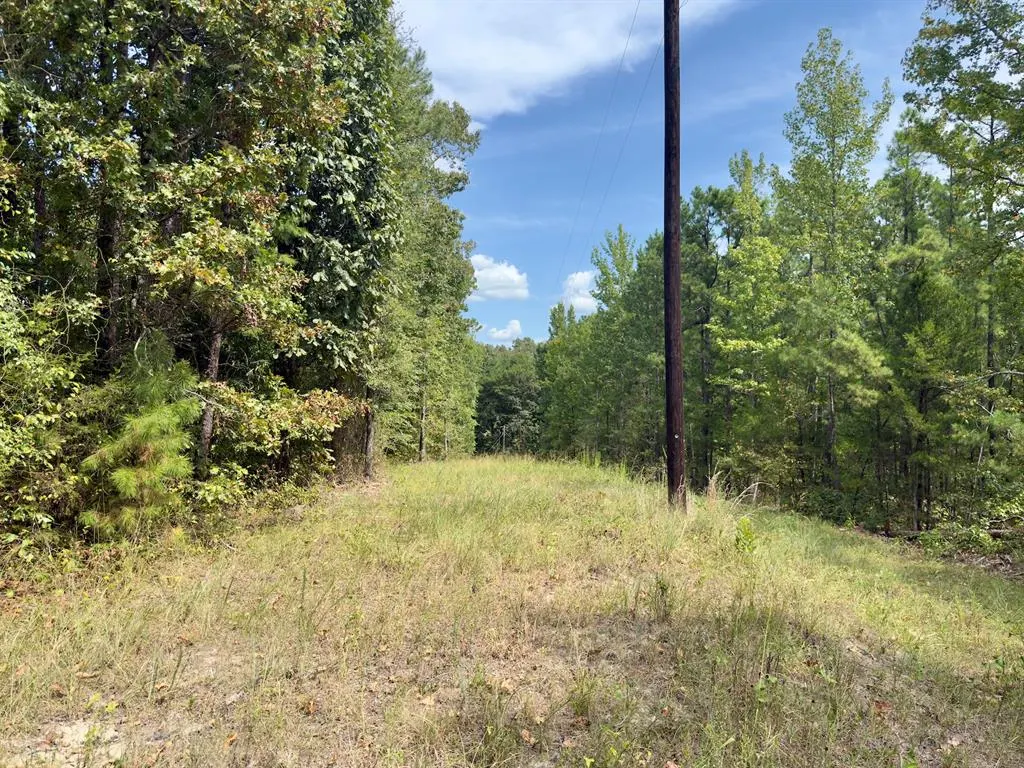 Photo 21 — 484 Old State Highway 4, Smithville, OK 74957