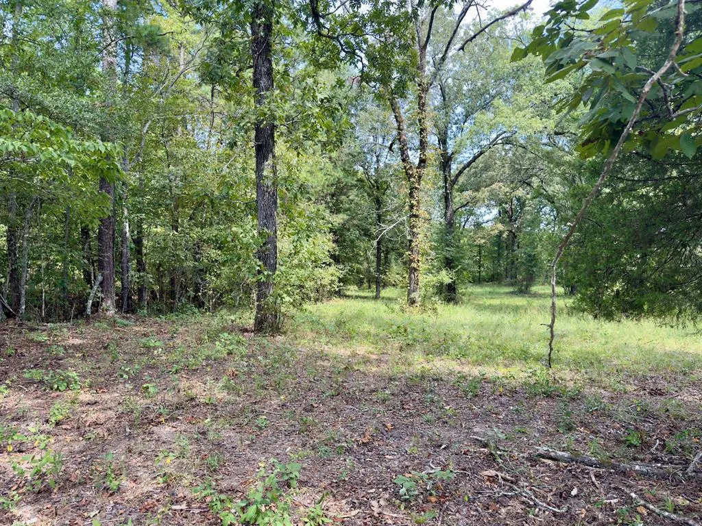 Photo 22 — 484 Old State Highway 4, Smithville, OK 74957