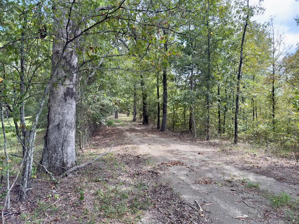 Photo 23 — 484 Old State Highway 4, Smithville, OK 74957