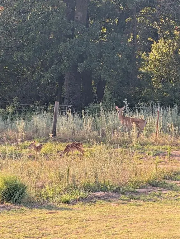 Photo 20 — 12590 E 634 Road, Hennessey, OK 73742