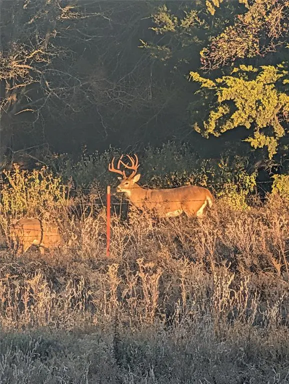 Photo 22 — 12590 E 634 Road, Hennessey, OK 73742