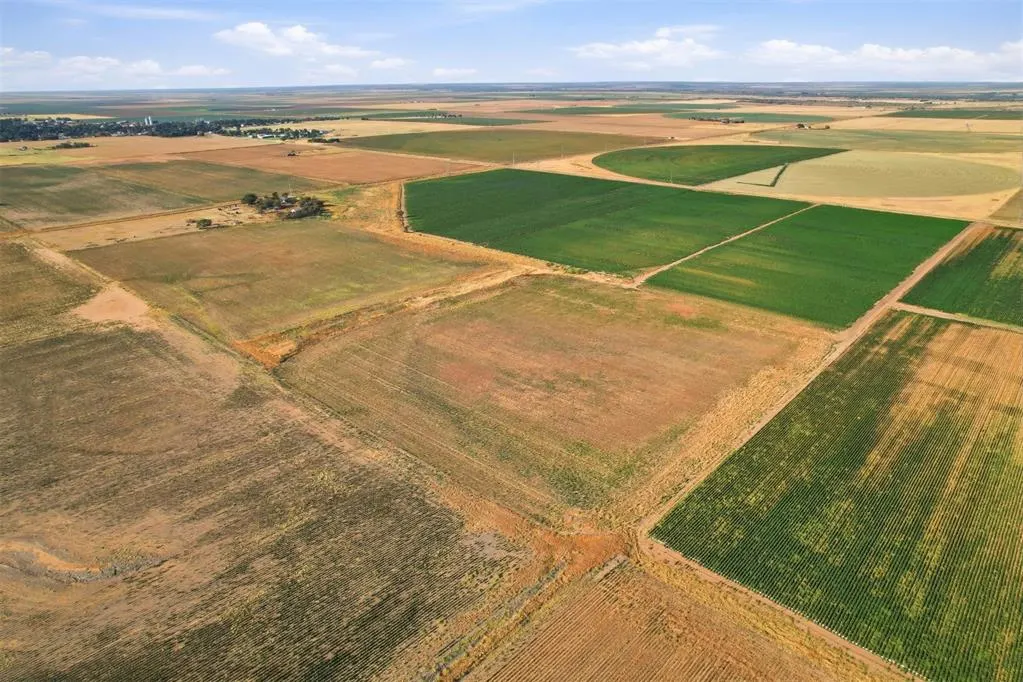 Photo 4 — County Road Ew 172, Tipton, OK 73570