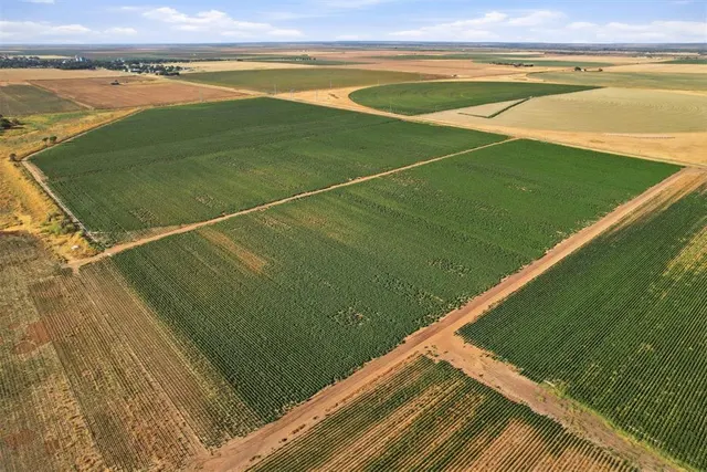 Photo 5 — County Road Ew 172, Tipton, OK 73570