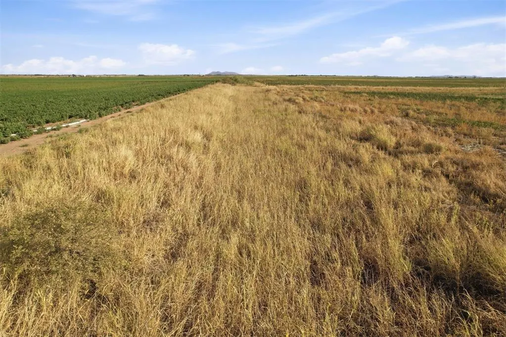 Photo 12 — County Road Ew 172, Tipton, OK 73570
