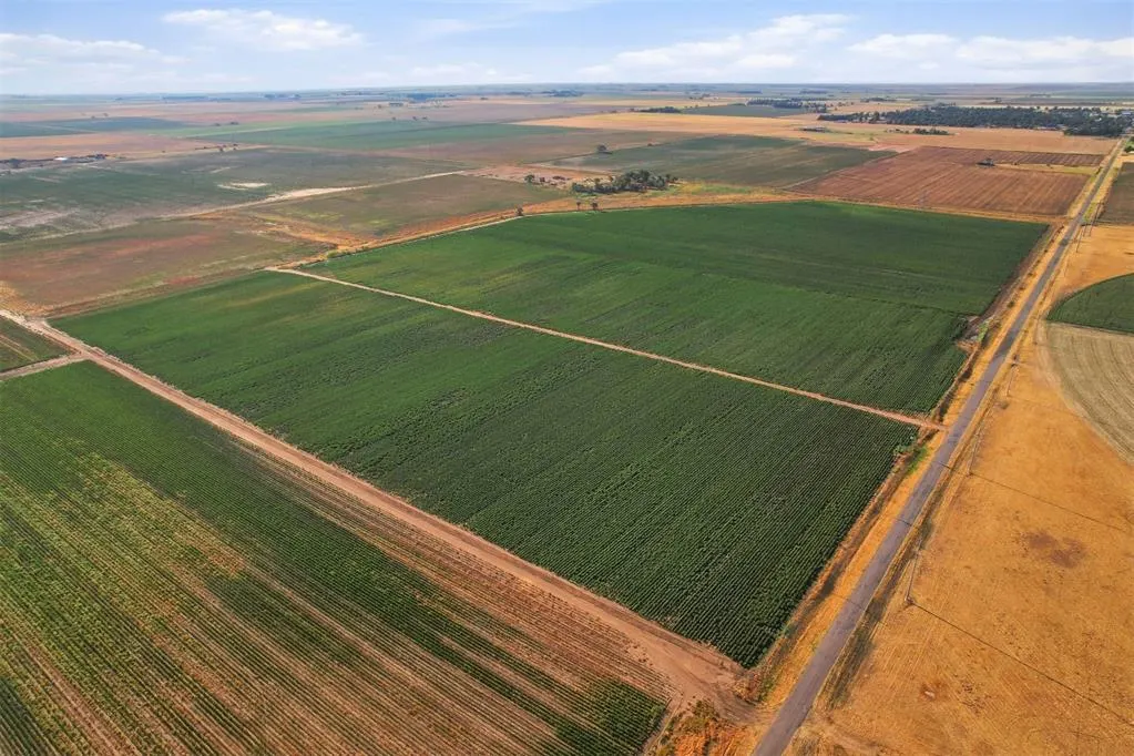 Photo 14 — County Road Ew 172, Tipton, OK 73570