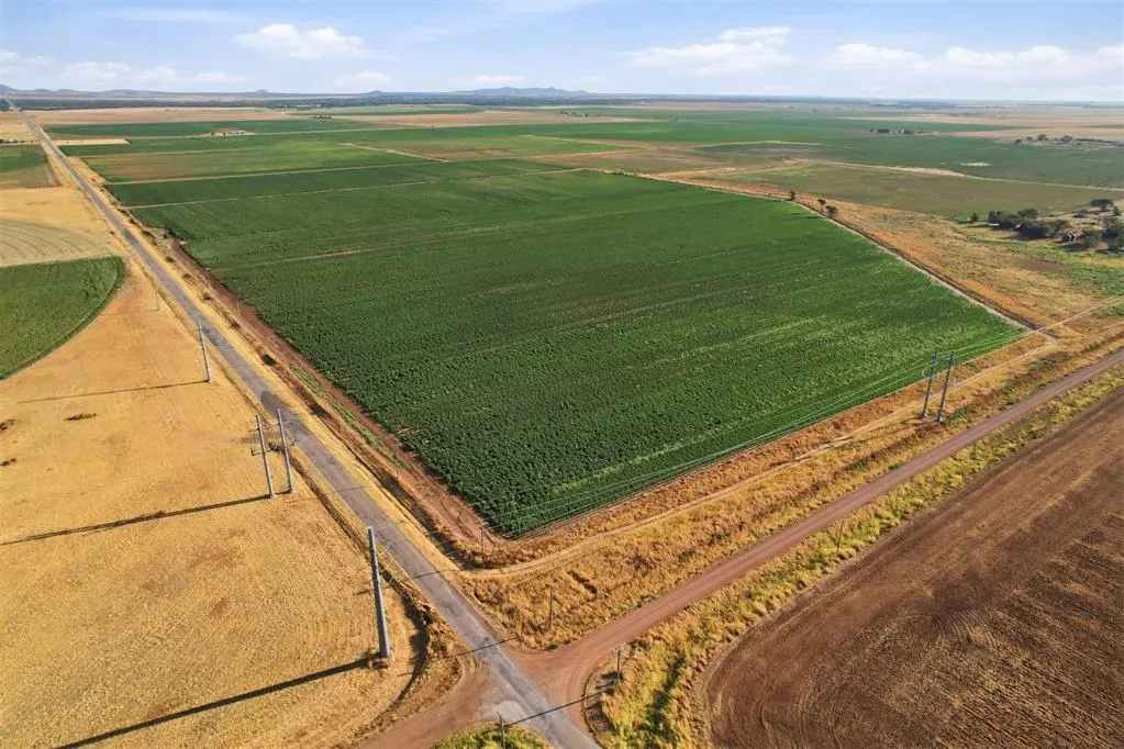 Photo 19 — County Road Ew 172, Tipton, OK 73570