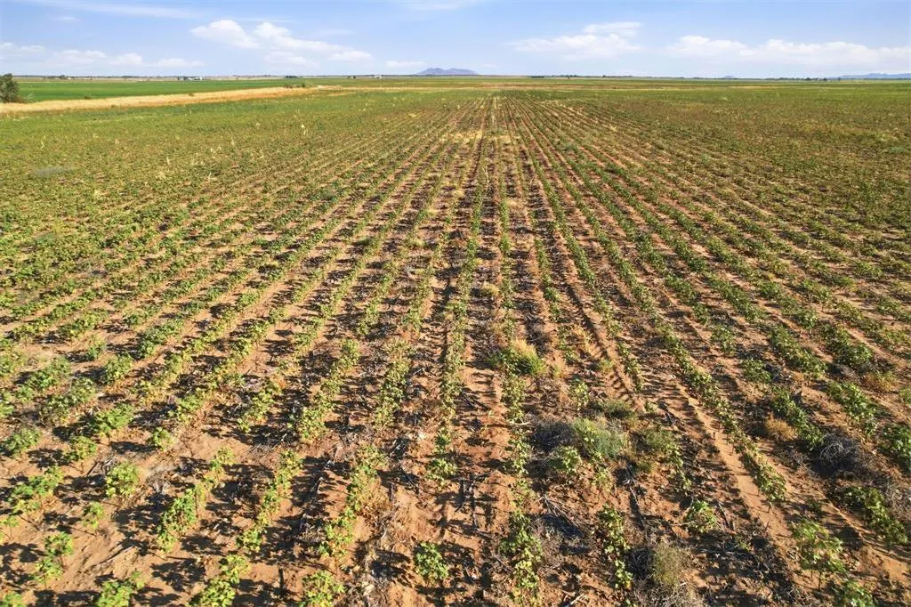 Photo 20 — County Road Ew 172, Tipton, OK 73570