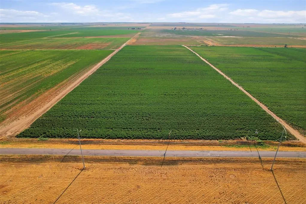 Photo 29 — County Road Ew 172, Tipton, OK 73570