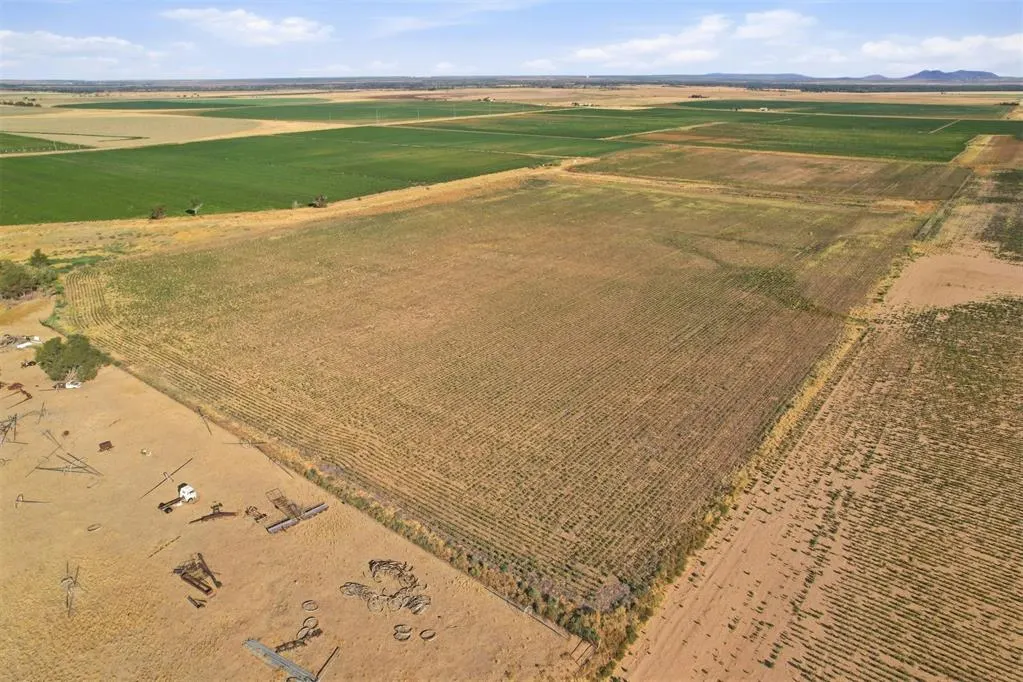 Photo 32 — County Road Ew 172, Tipton, OK 73570