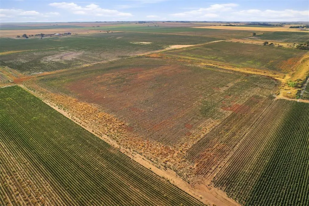 Photo 34 — County Road Ew 172, Tipton, OK 73570