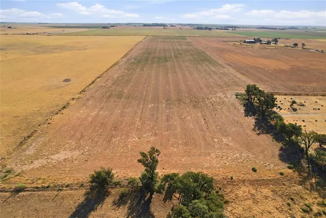 Photo 4 — County Road Ew 174, Tipton, OK 73570